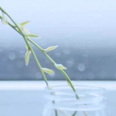 小米大富豪2手游下载